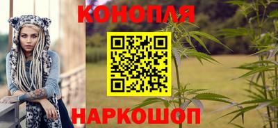 молекула духа Вышний Волочёк