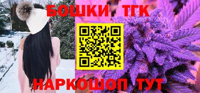 молекула духа Вышний Волочёк